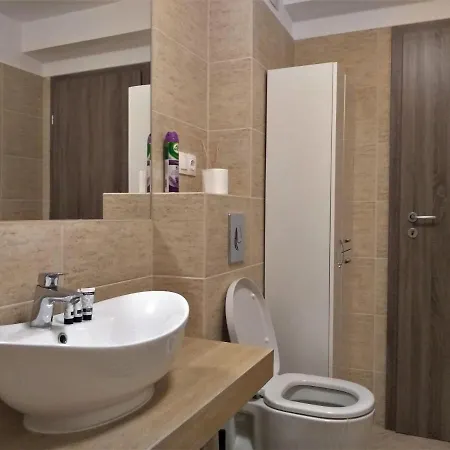 Casa Unchiu' Apartment Brasov