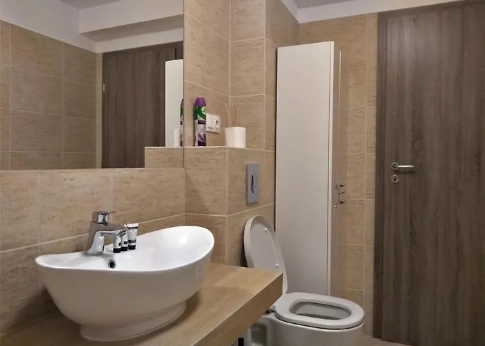 Casa Unchiu' Апартаменты Брашов